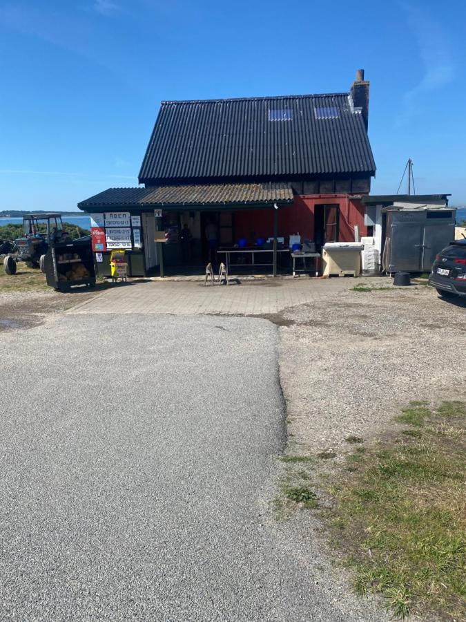 Nyhus, Dragsmur, Mols Knebel Exterior photo